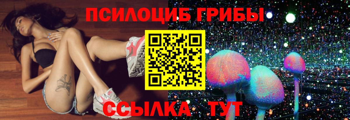 Горячий Ключ  Галлюциногенные грибы Psilocybe  Вход с VPN 