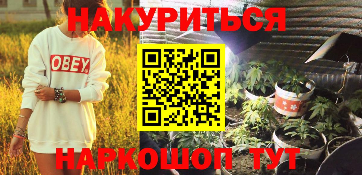 Шишки марихуана OG Kush  Шишки марихуана ГИДРОПОН  Горячий Ключ  Вход с VPN 